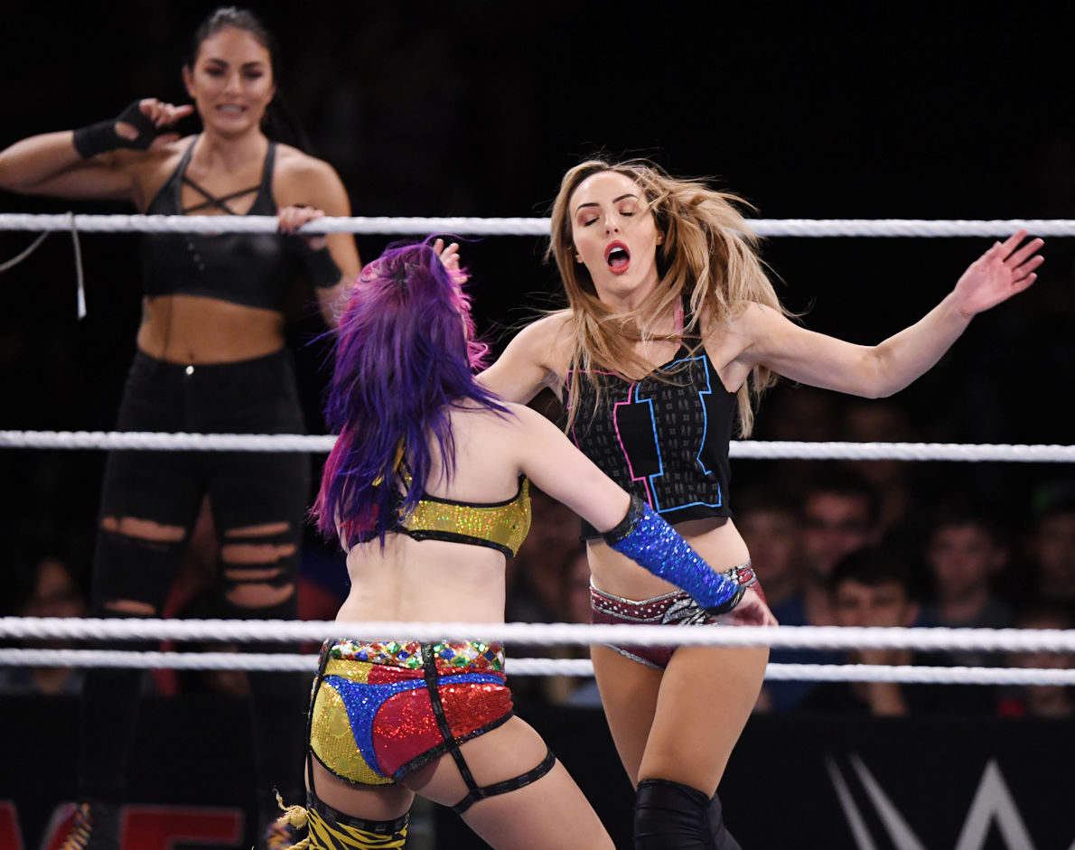 WWE at Reed Arena